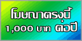โฆษณาทางอินเตอร์เน็ต