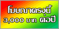 โฆษณาทางอินเตอร์เน็ต